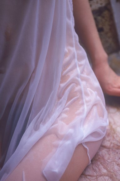 【华体(中国)】非洲花梨木在温州非遗广场展出 原产喀麦隆7吨重